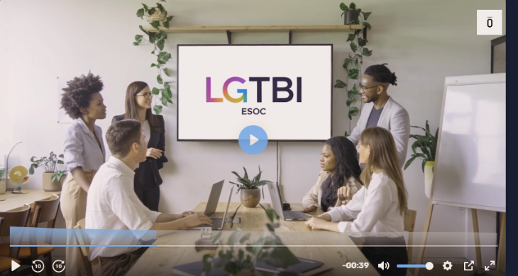 Curso LGTBI 2 horas online (t)